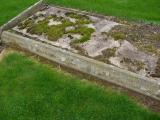 image of grave number 175293